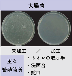 大腸菌